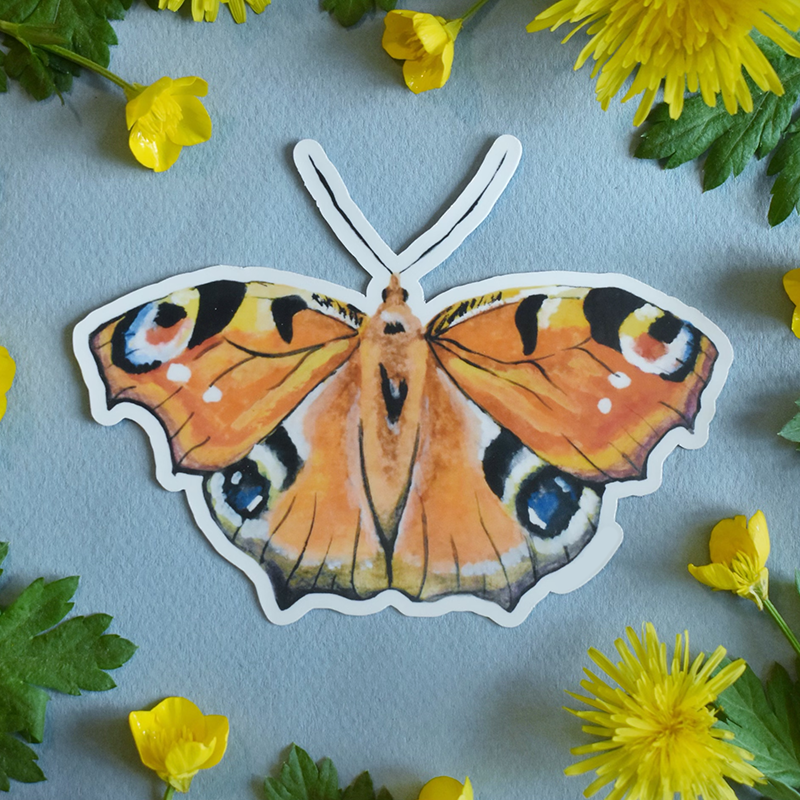 Peacock Butterfly Sticker