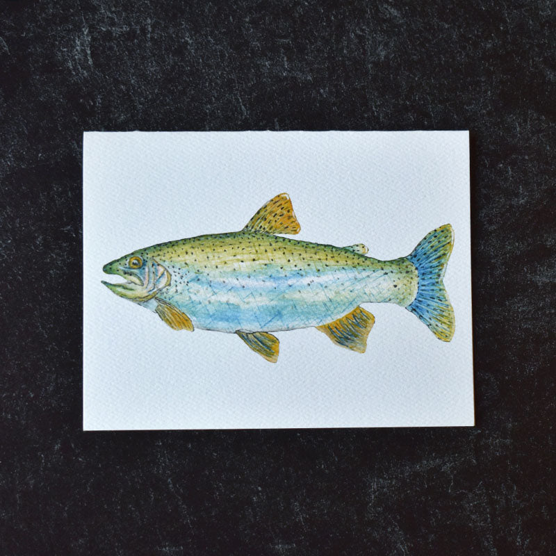 Rainbow Trout Greeting Cards