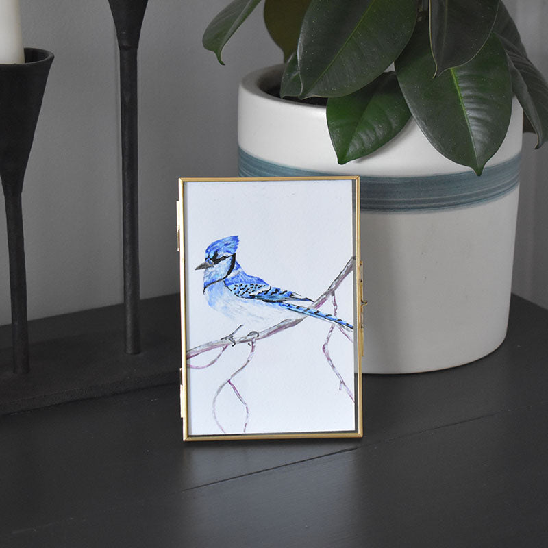 Blue Jay 4x6 Watercolor Print