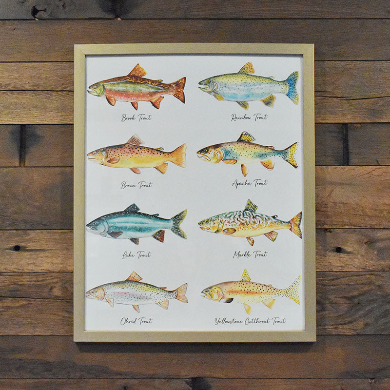 North American Trout Poster