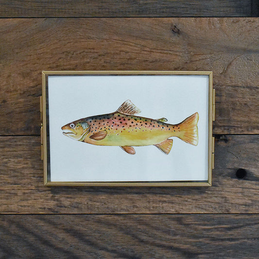 Brown Trout 4x6 Watercolor Print