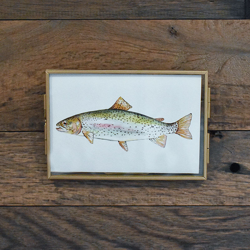 Ohrid Trout 4x6 Watercolor Print