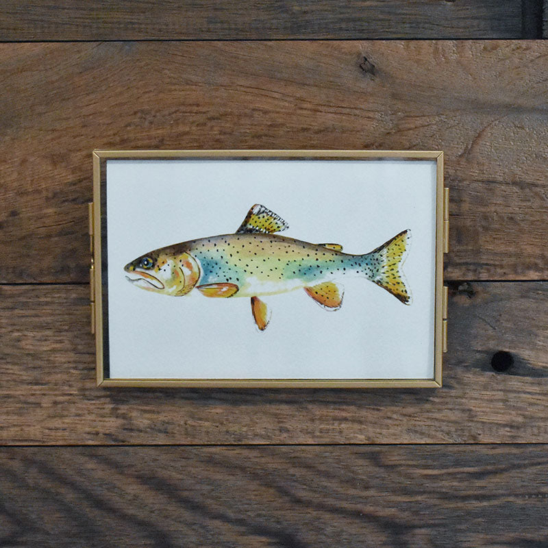 Apache Trout 4x6 Watercolor Print