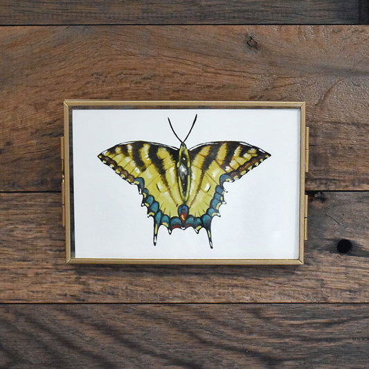 Eastern Tiger Swallowtail Butterfly 4x6 Watercolor Print