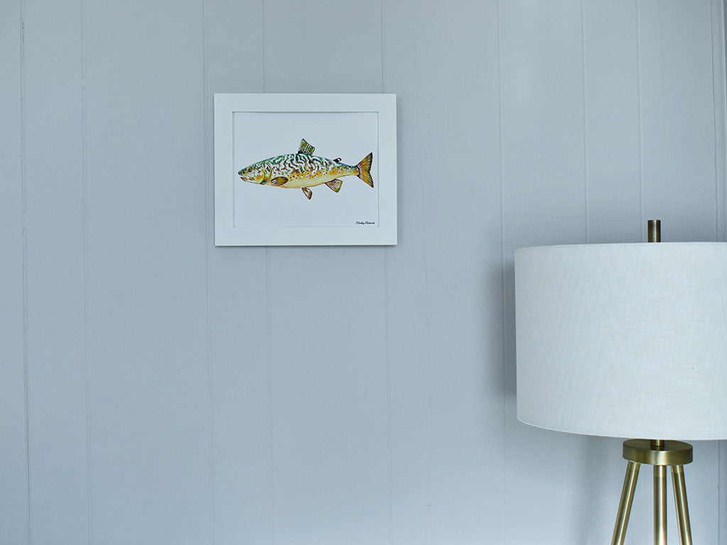 Marble Trout 8x10 Watercolor Print