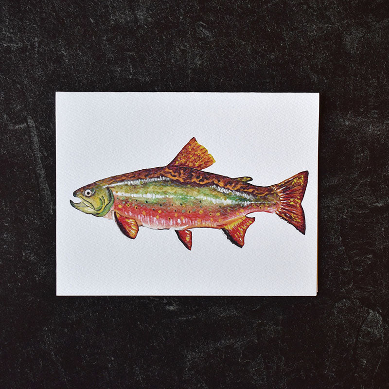 Brook Trout Greeting Cards