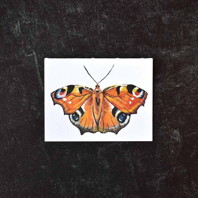 Peacock Butterfly Greeting Cards