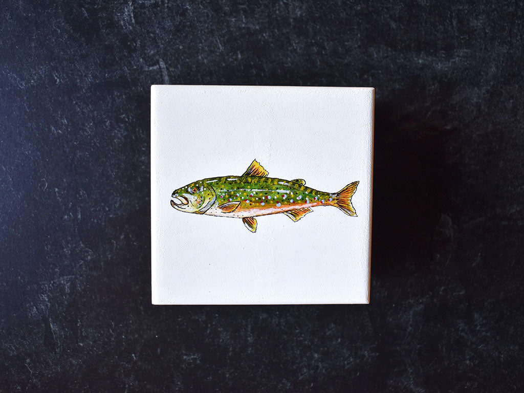 Brook Trout Box