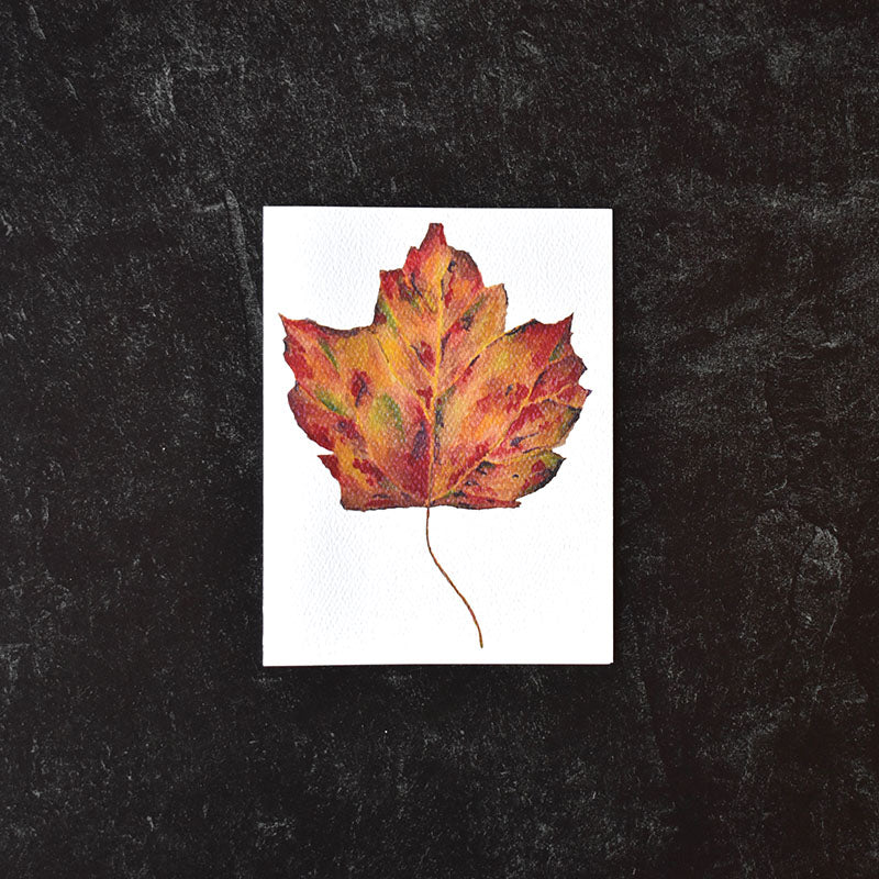 Maple Leaf Greeting Cards