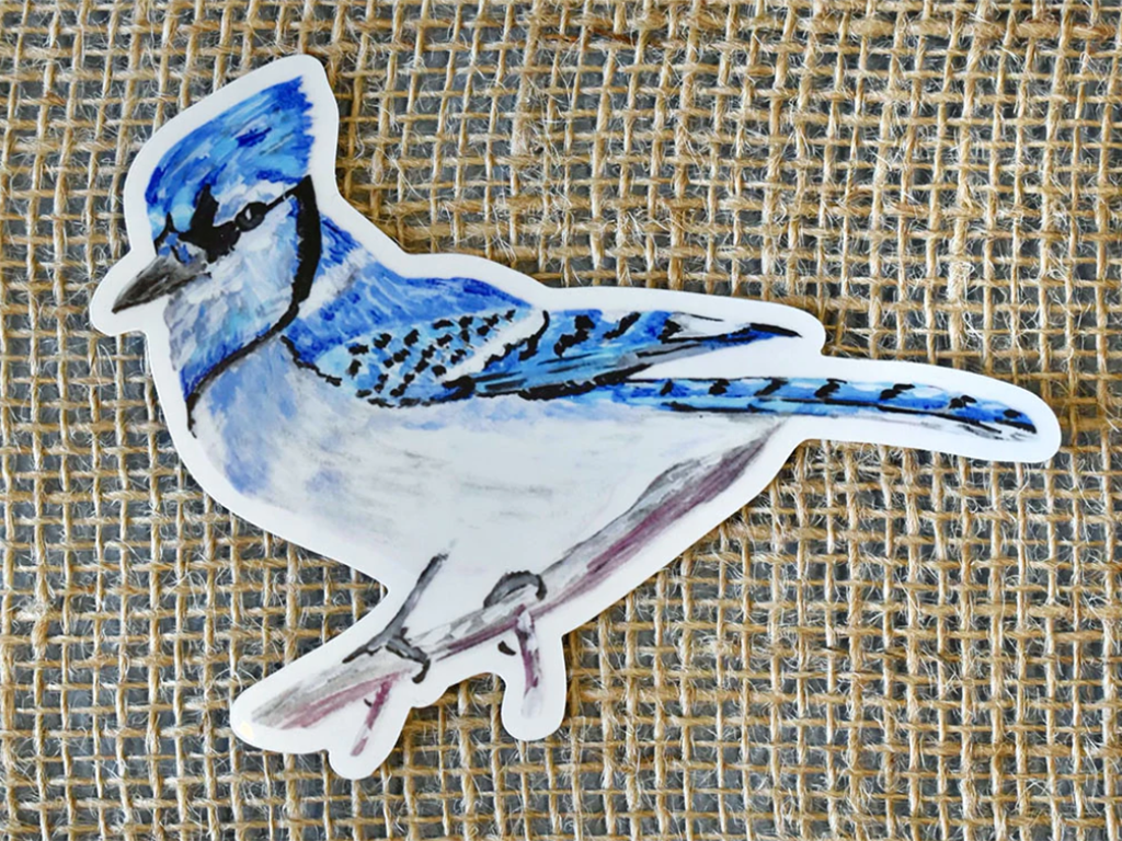 Blue Jay Sticker