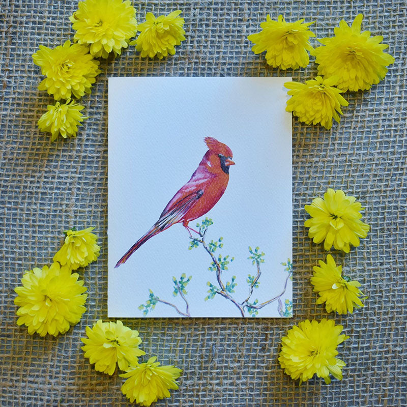 Cardinal Greeting Cards