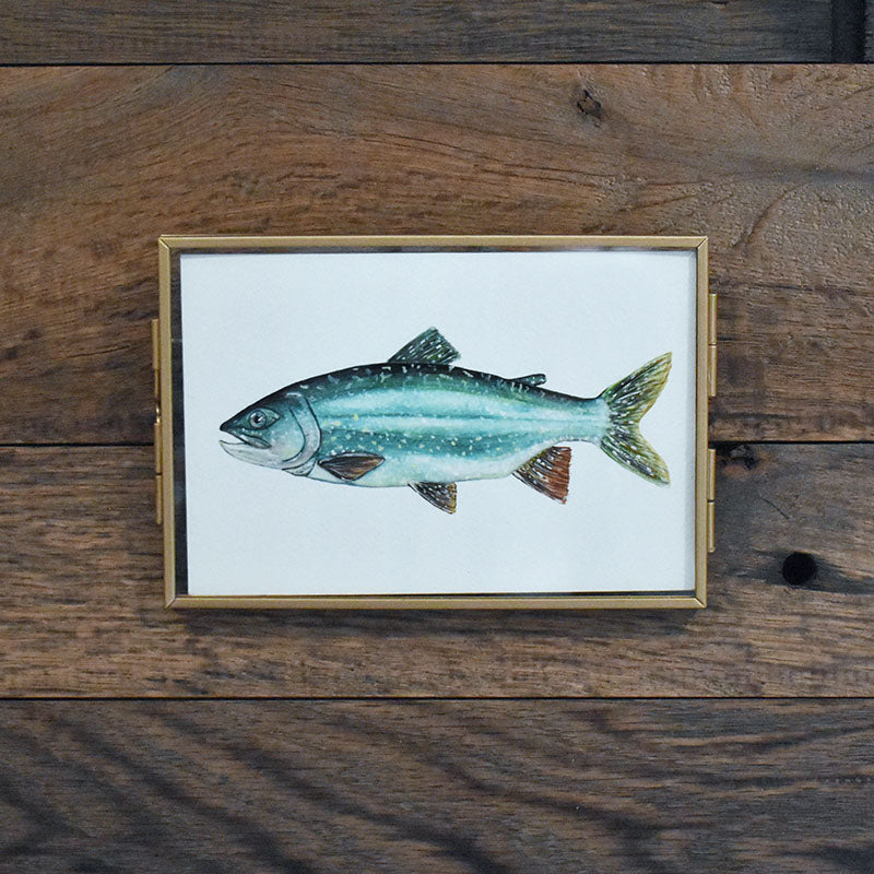 Lake Trout 4x6 Watercolor Print