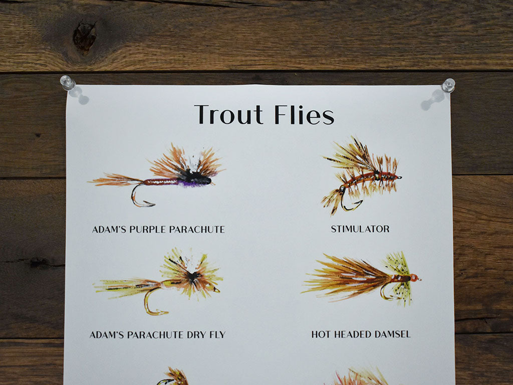 Trout Flies Poster