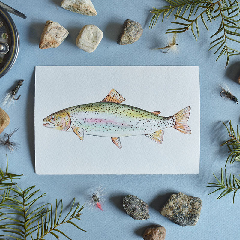 Ohrid Trout 4x6 Watercolor Print