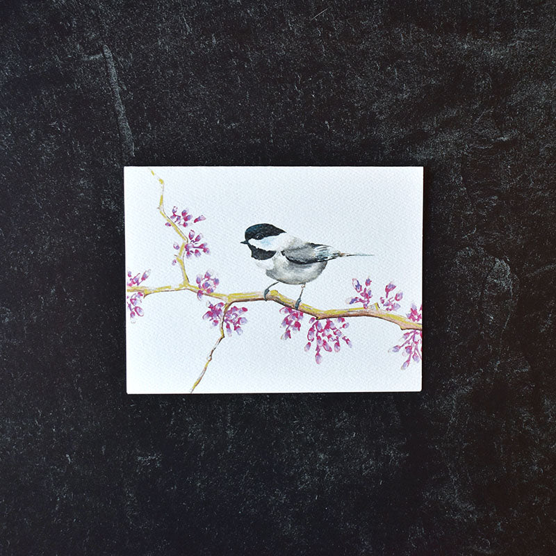 Chickadee Greeting Cards