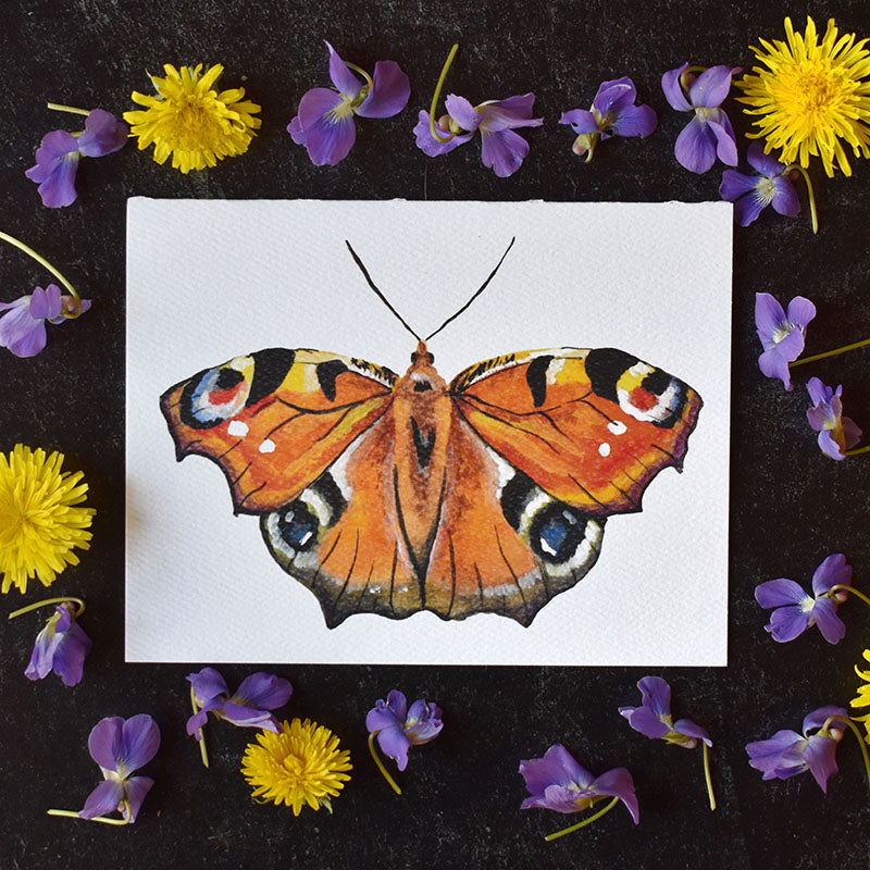 Peacock Butterfly Greeting Cards