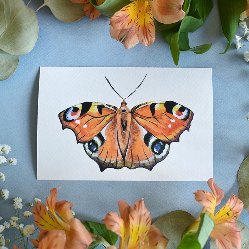 Peacock Butterfly 4x6 Watercolor Print