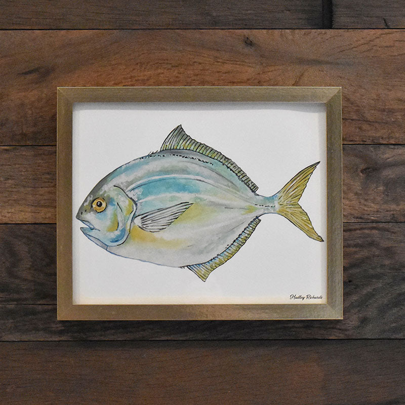 Butterfish 8x10 Watercolor Print