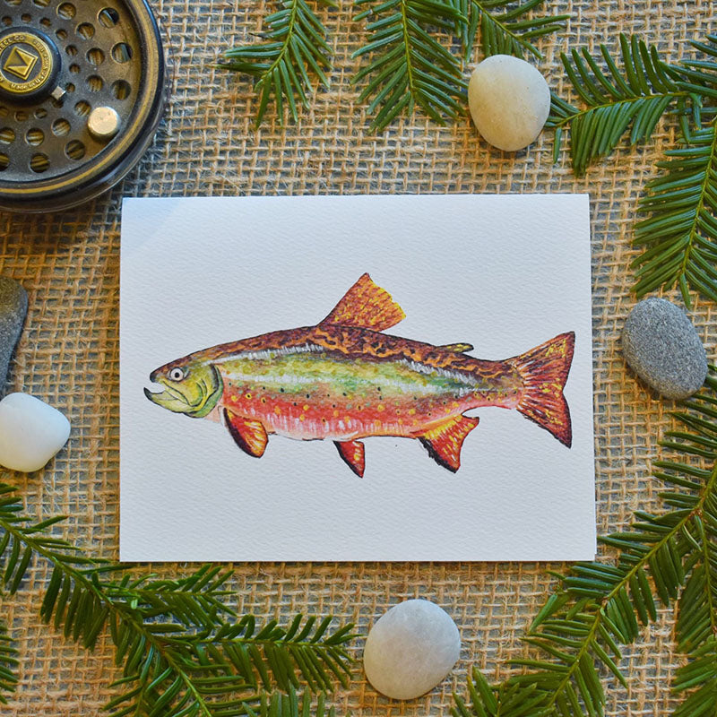 Brook Trout Greeting Cards