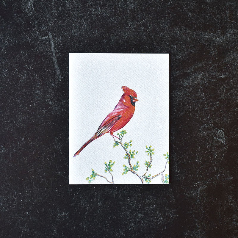 Cardinal Greeting Cards