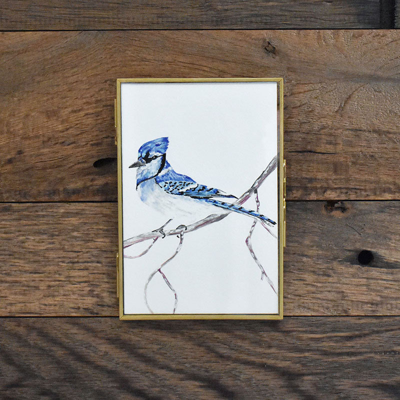 Blue Jay 4x6 Watercolor Print