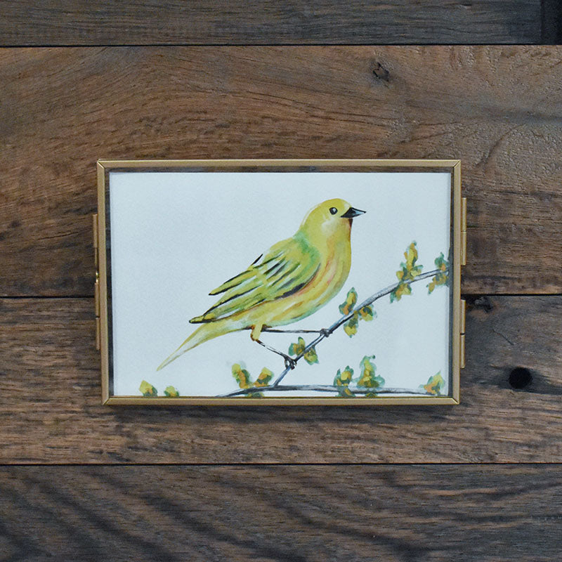 Yellow Warbler 4x6 Watercolor Print