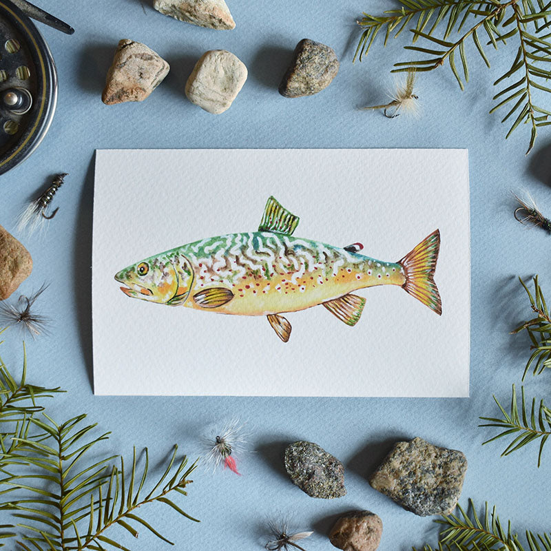 Marble Trout 4x6 Watercolor Print