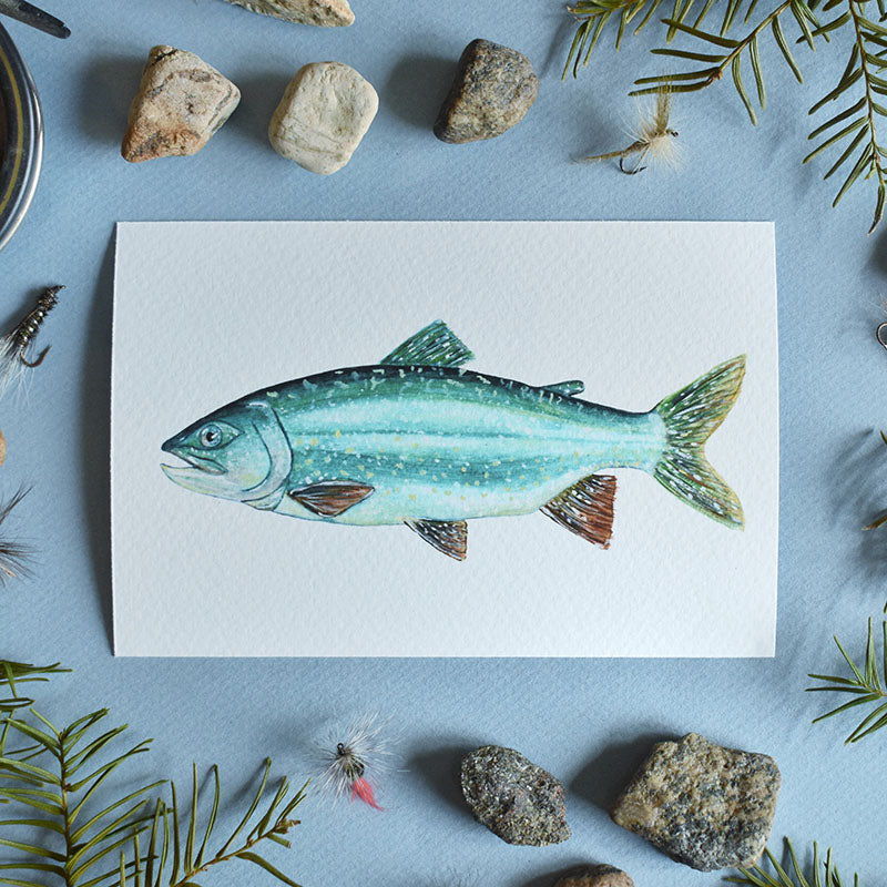 Lake Trout 4x6 Watercolor Print