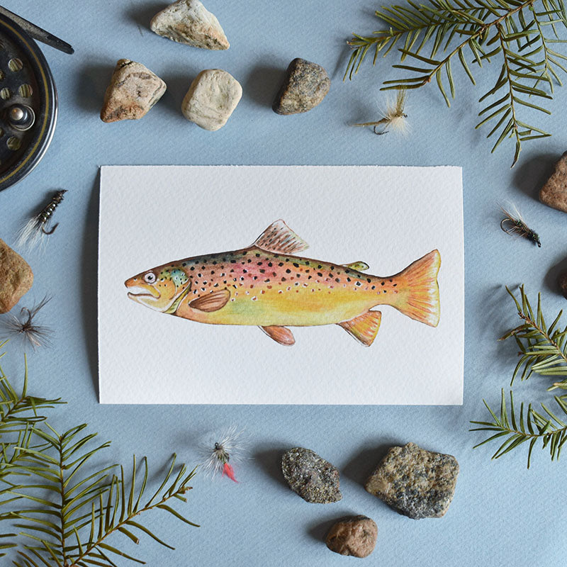 Brown Trout 4x6 Watercolor Print