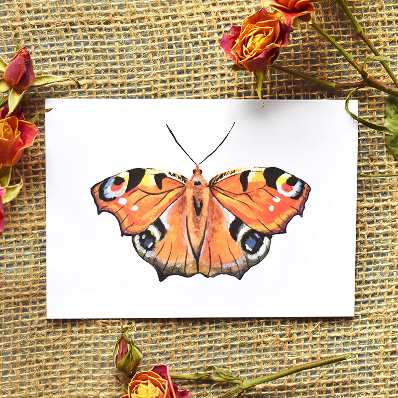 Peacock Butterfly Greeting Cards