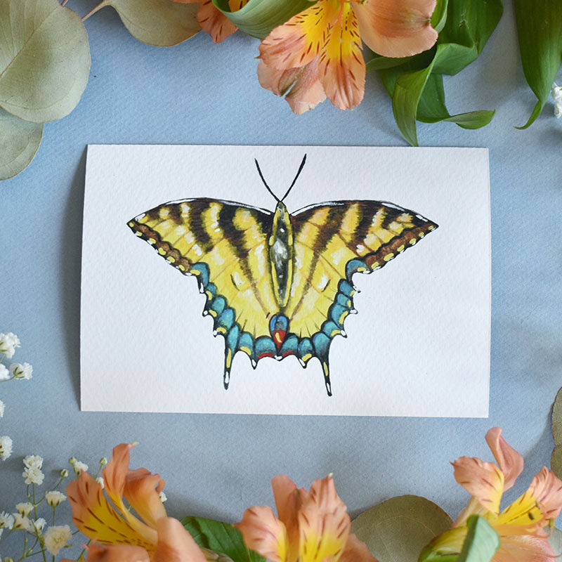 Eastern Tiger Swallowtail Butterfly 4x6 Watercolor Print