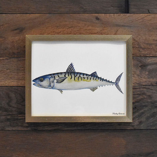 Atlantic Mackerel 8x10 Watercolor Print