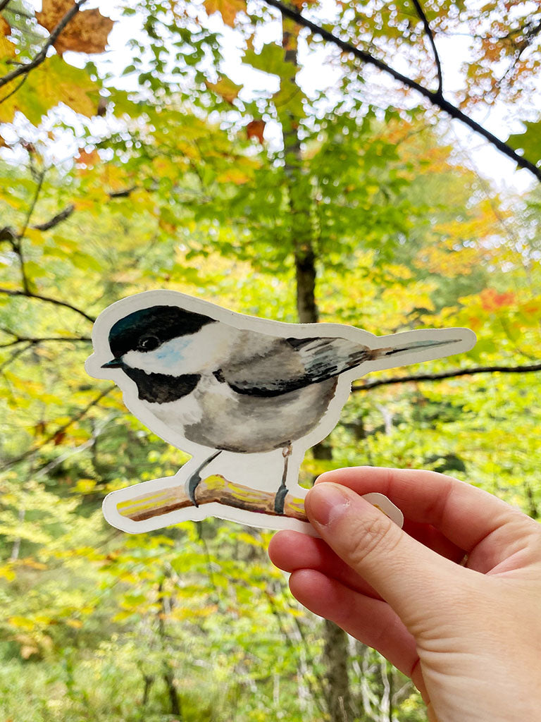 Chickadee Sticker