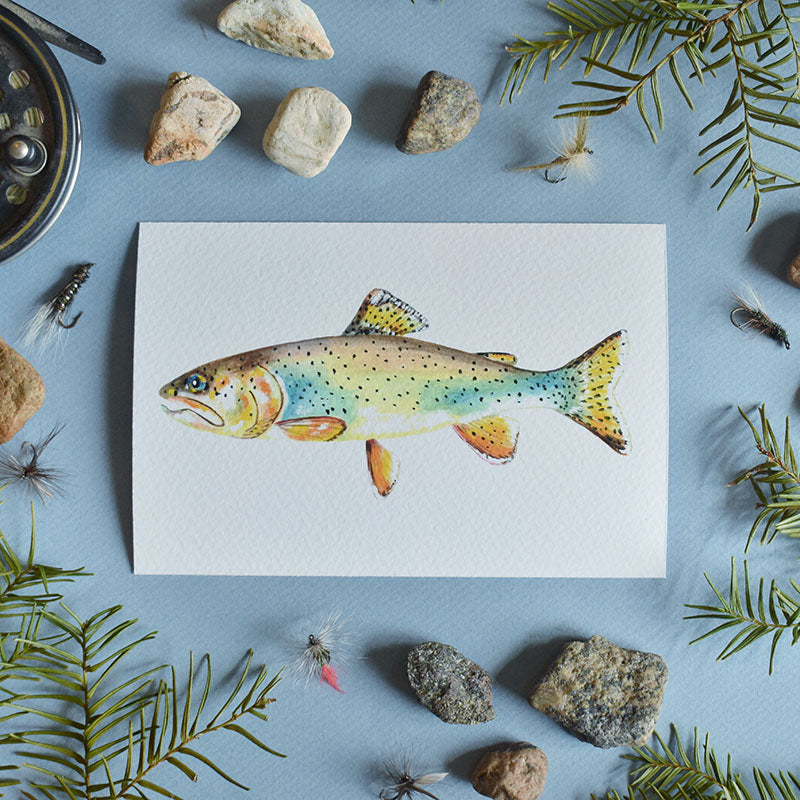 Apache Trout 4x6 Watercolor Print