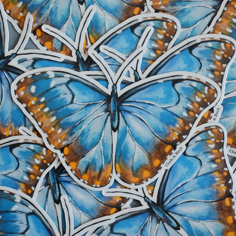 Blue Morpho Butterfly Sticker