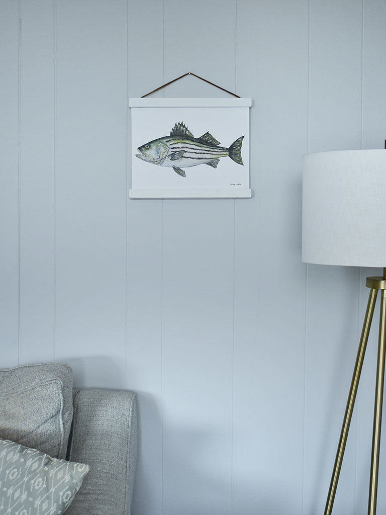 Striped Bass Canvas Print