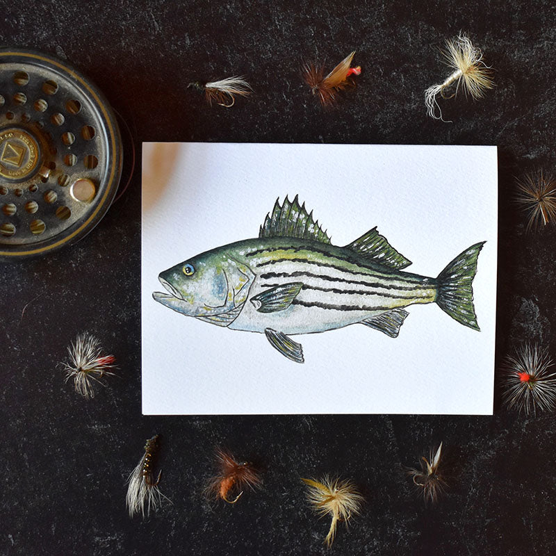 Striped Bass Greeting Cards