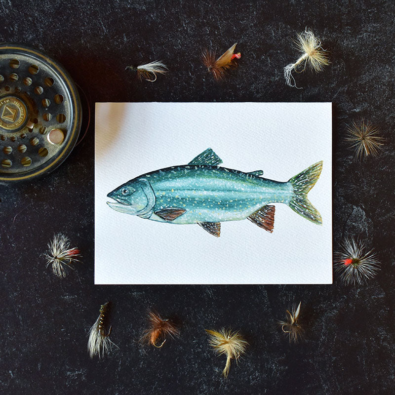 Lake Trout Greeting Cards