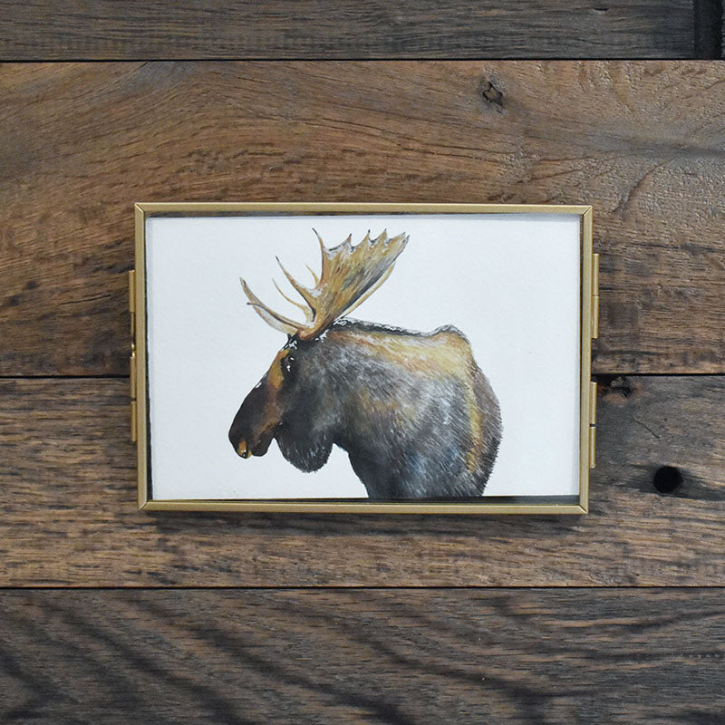 Moose 4x6 Watercolor Print