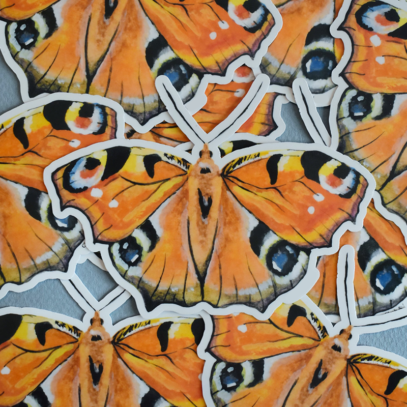 Peacock Butterfly Sticker