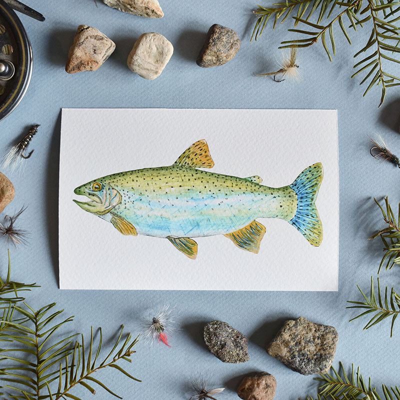 Rainbow Trout 4x6 Watercolor Print