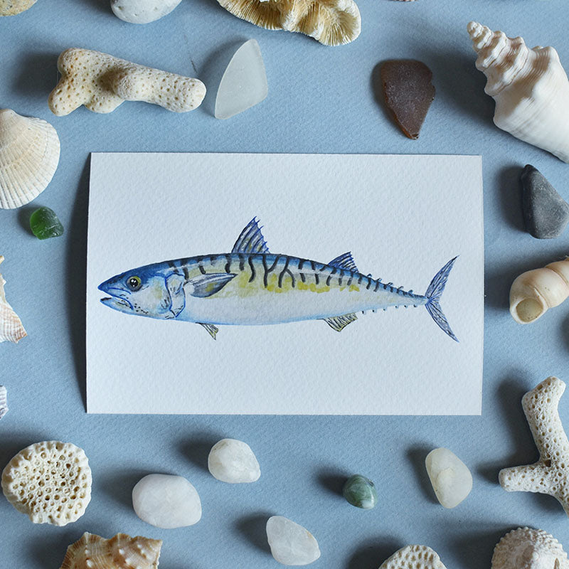 Atlantic Mackerel 4x6 Watercolor Print