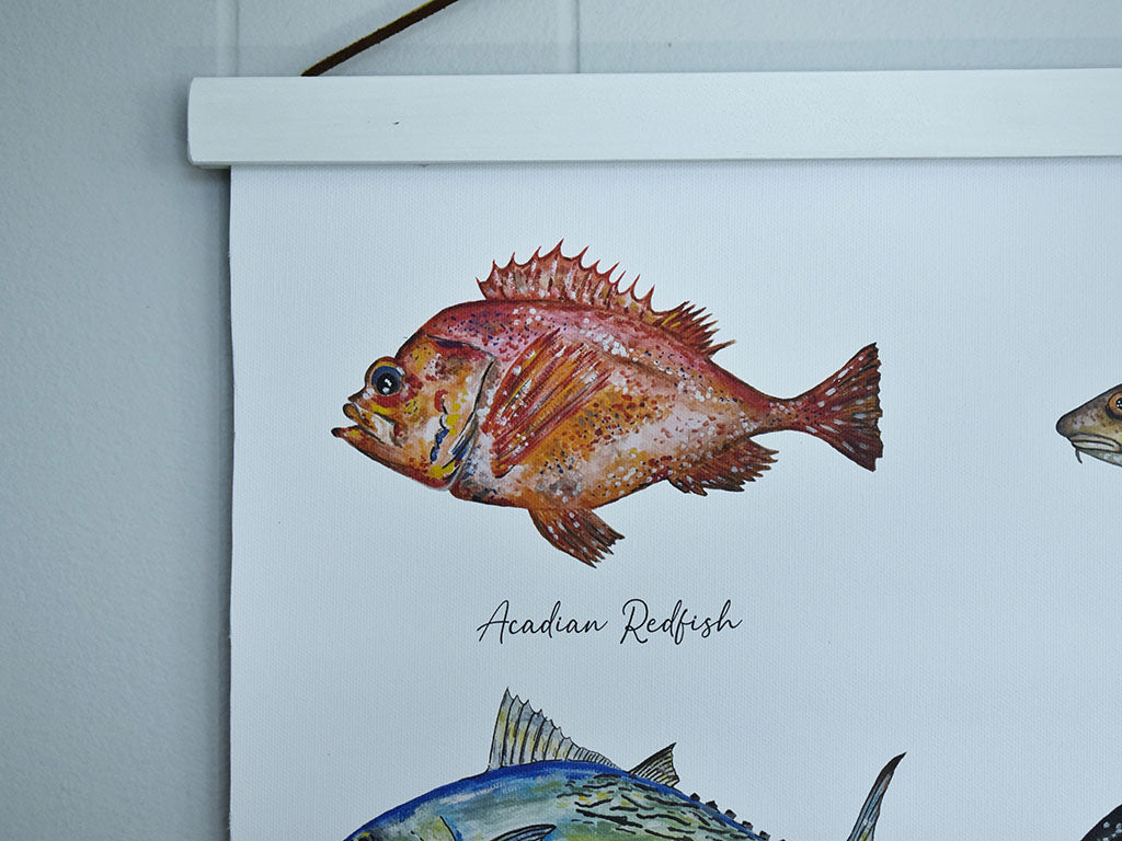 New England Saltwater Fish Canvas Print – Hadley Richards Designs