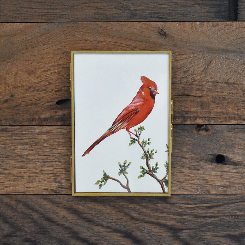 Cardinal 4x6 Watercolor Print