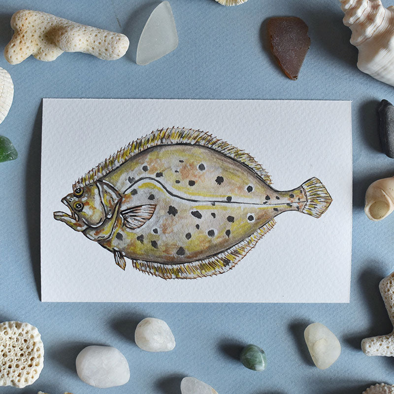 Fluke 4x6 Watercolor Print