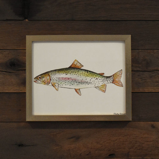 Ohrid Trout 8x10 Watercolor Print