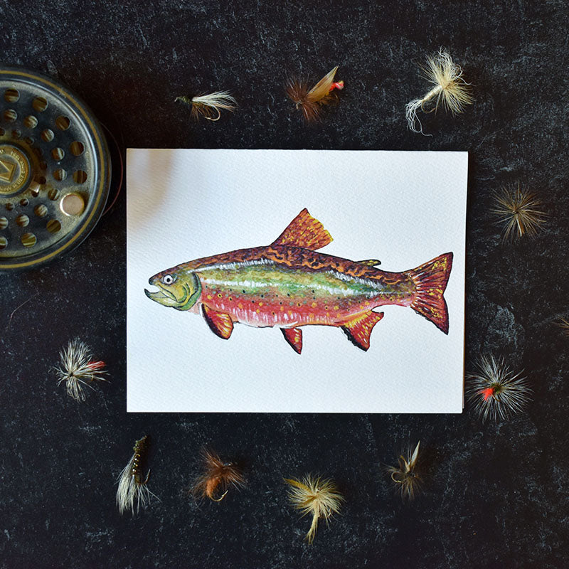 Brook Trout Greeting Cards