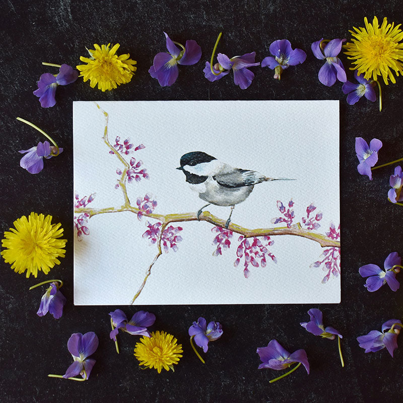 Chickadee Greeting Cards