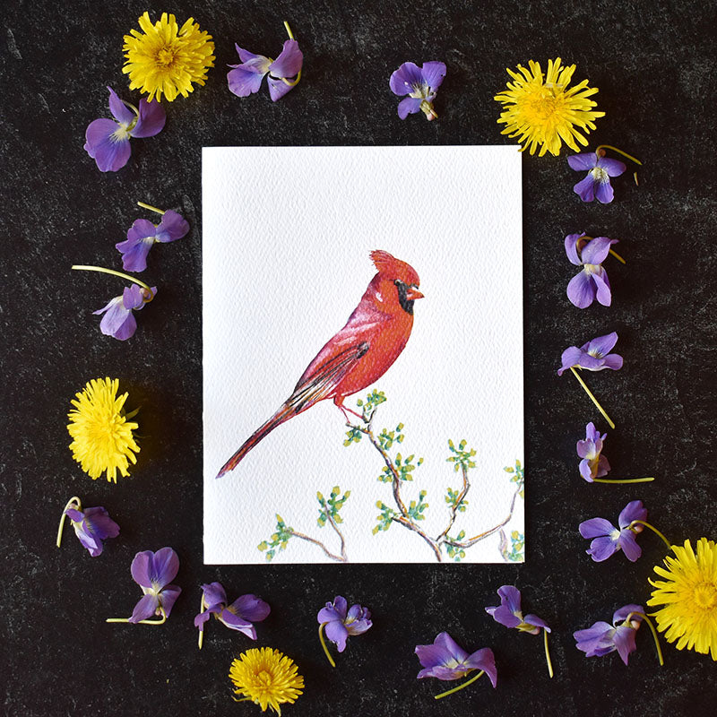 Cardinal Greeting Cards