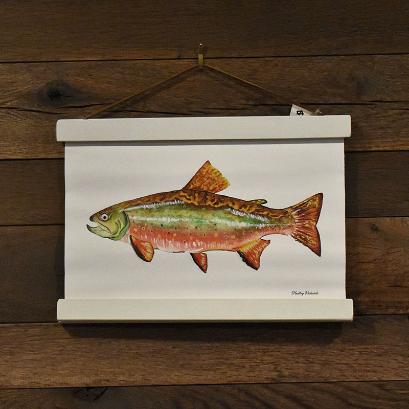 Brook Trout Canvas Print